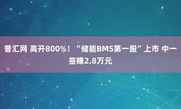 普汇网 高开800%！“储能BMS第一股”上市 中一签赚2.8万元