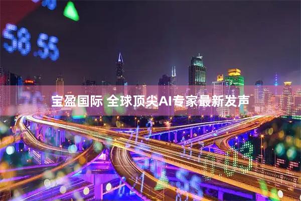 宝盈国际 全球顶尖AI专家最新发声